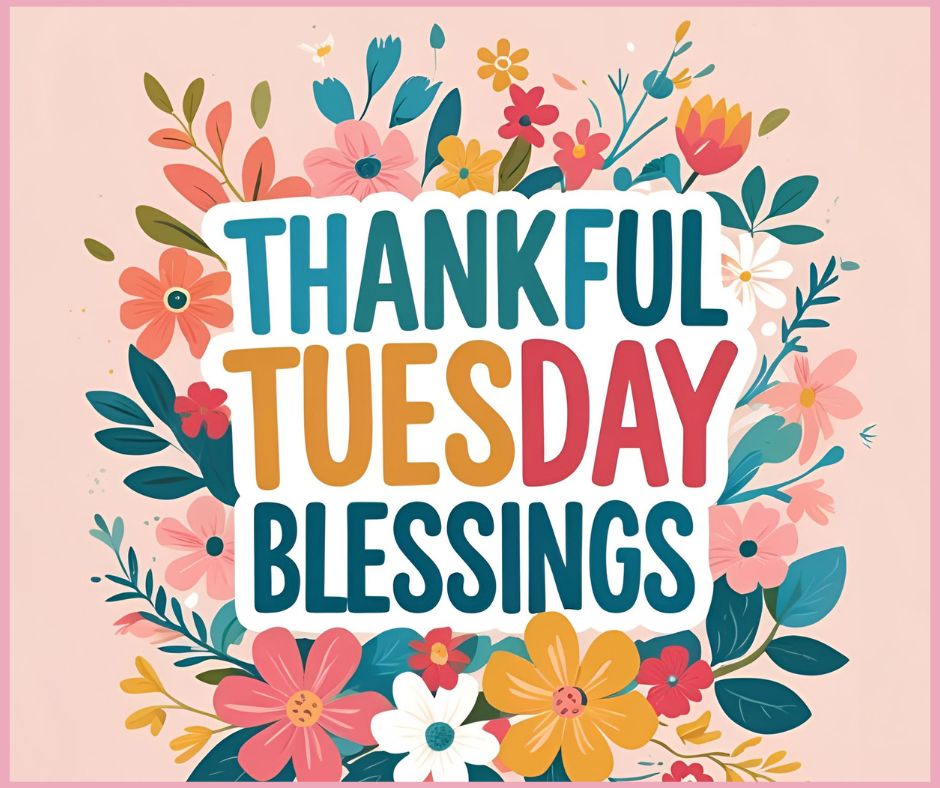 Thankful Tuesday Blessings