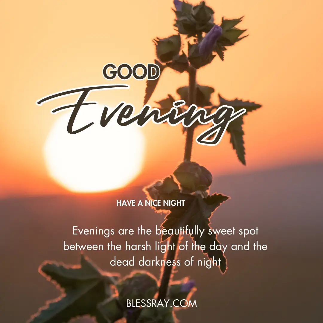have a nice night