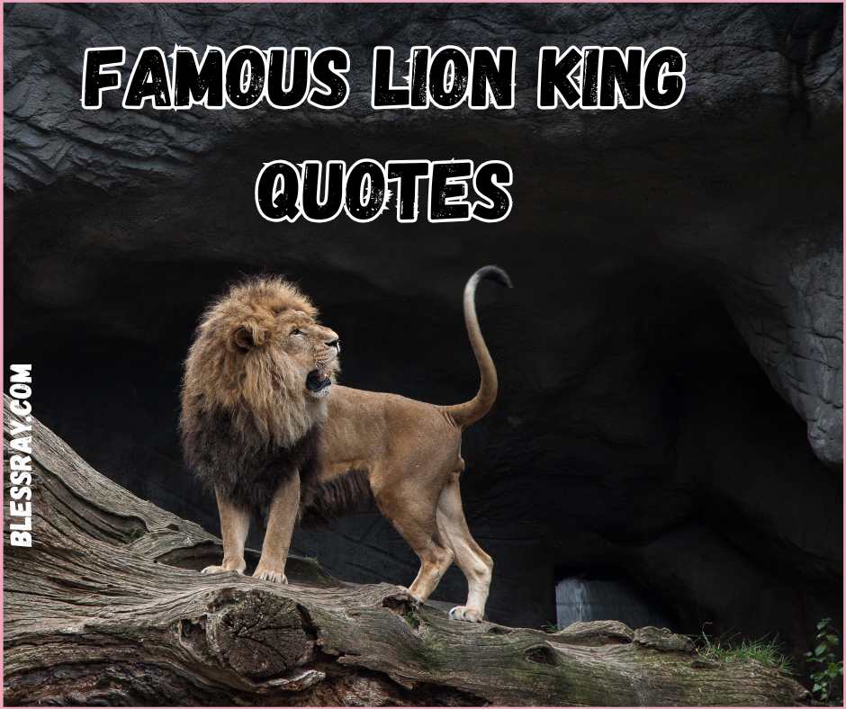 Famous Lion King Quotes