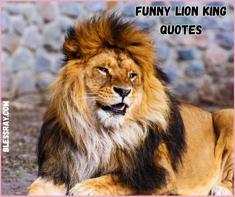 Funny Lion King Quotes