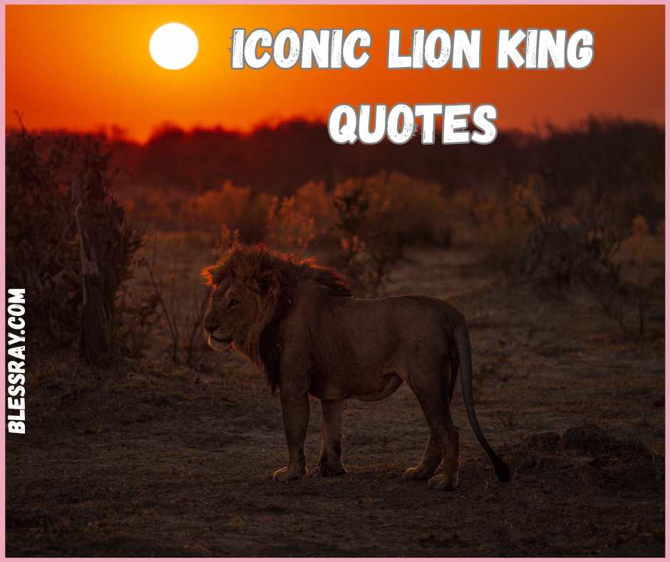 Iconic Lion King Quotes