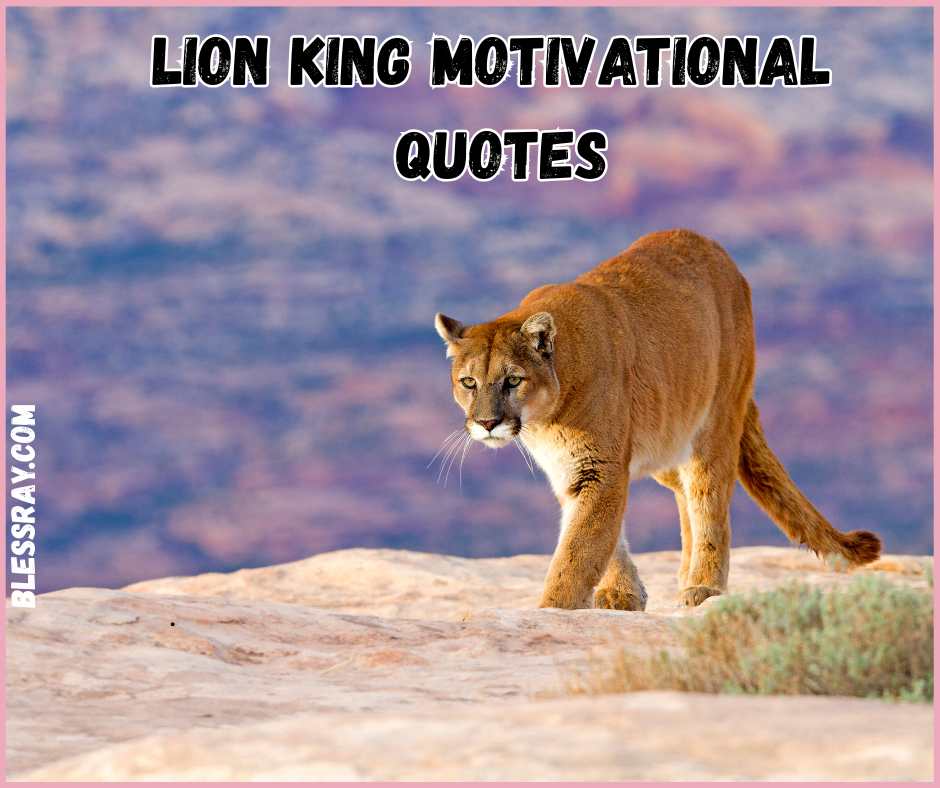 Lion King Motivational Quotes