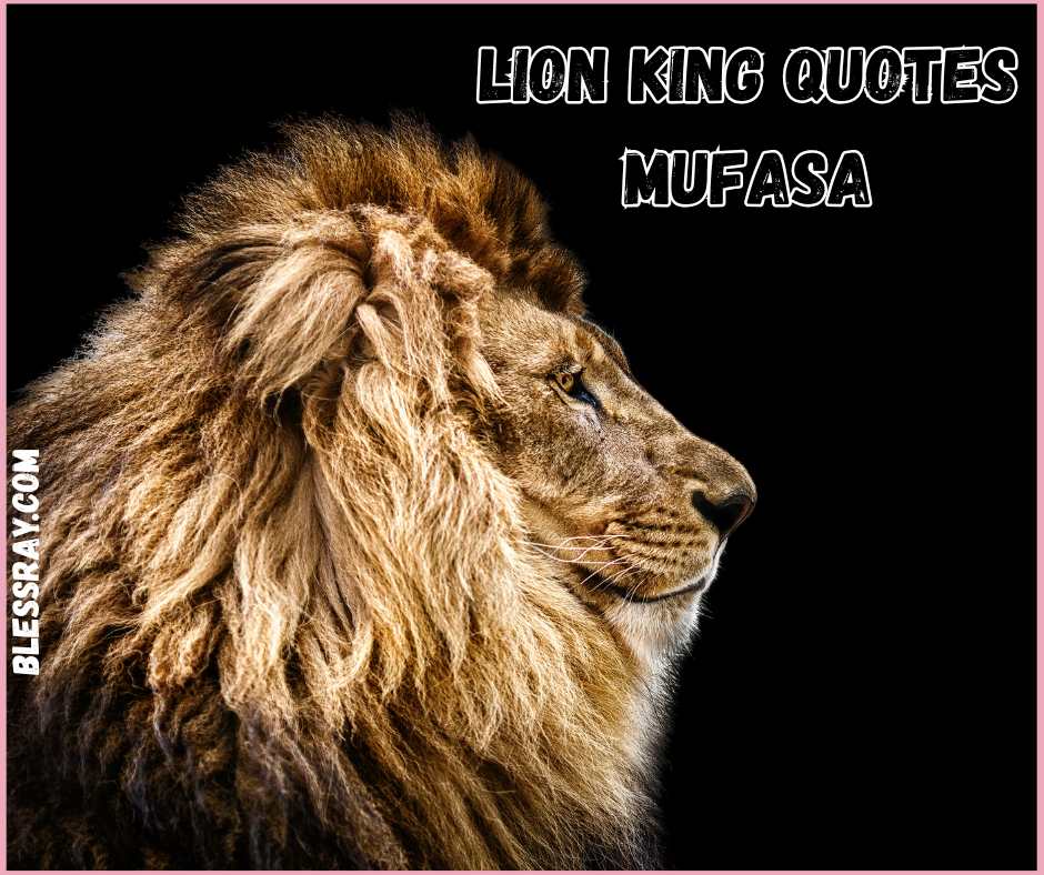 Lion King Quotes Mufasa