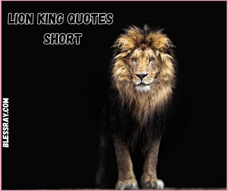 Lion King Quotes Short