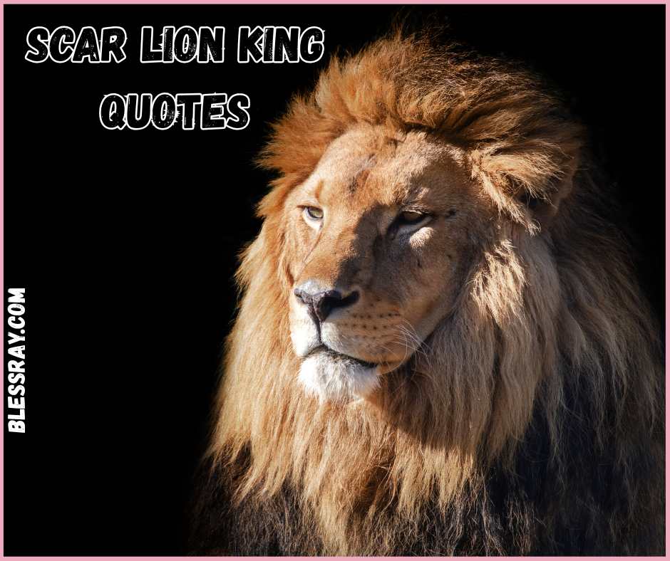 Scar Lion King Quotes