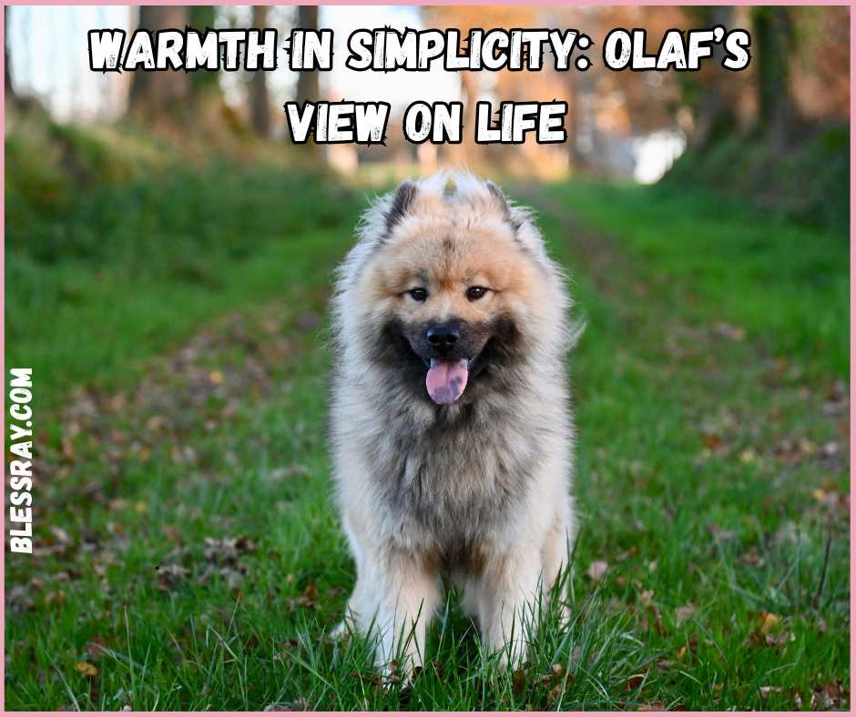 Warmth in Simplicity: Olaf’s View on Life