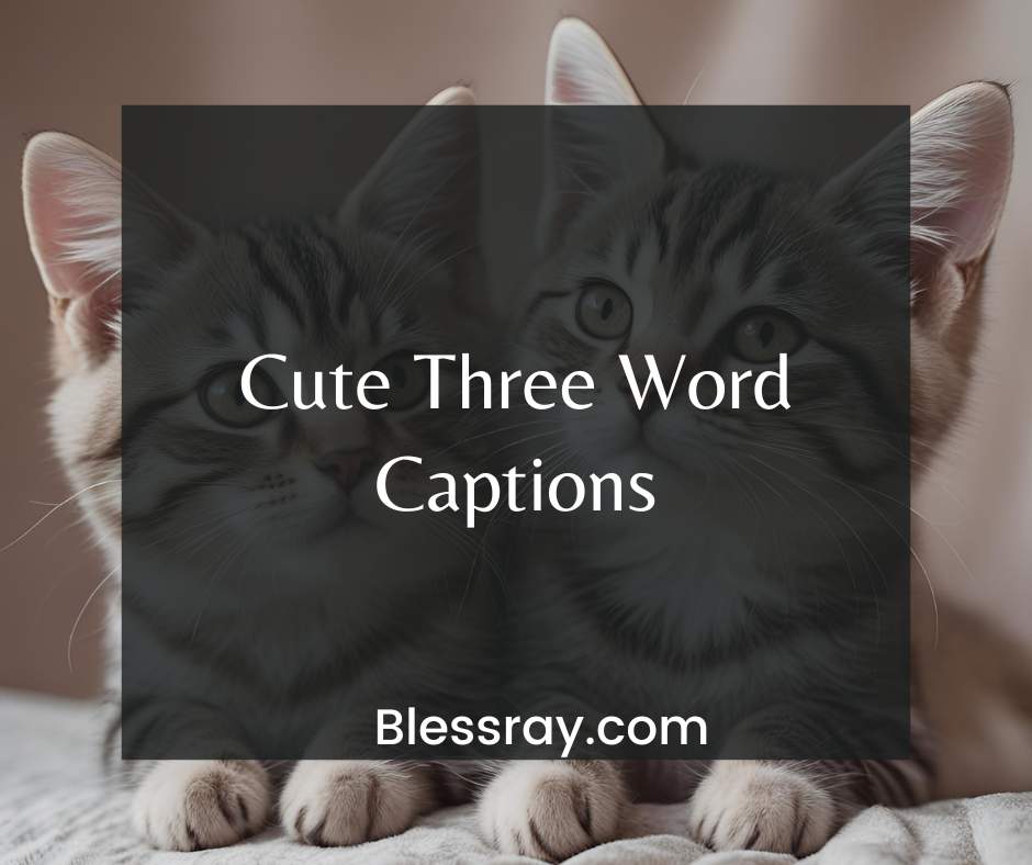 Cute Three Word Captions