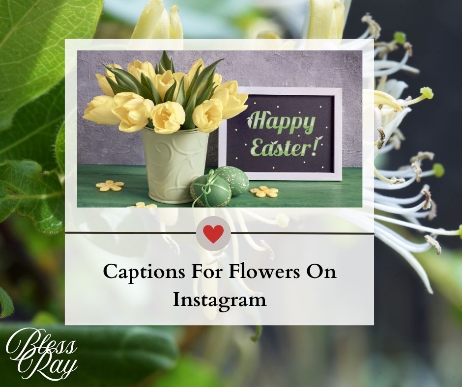 Captions For Flowers On Instagram